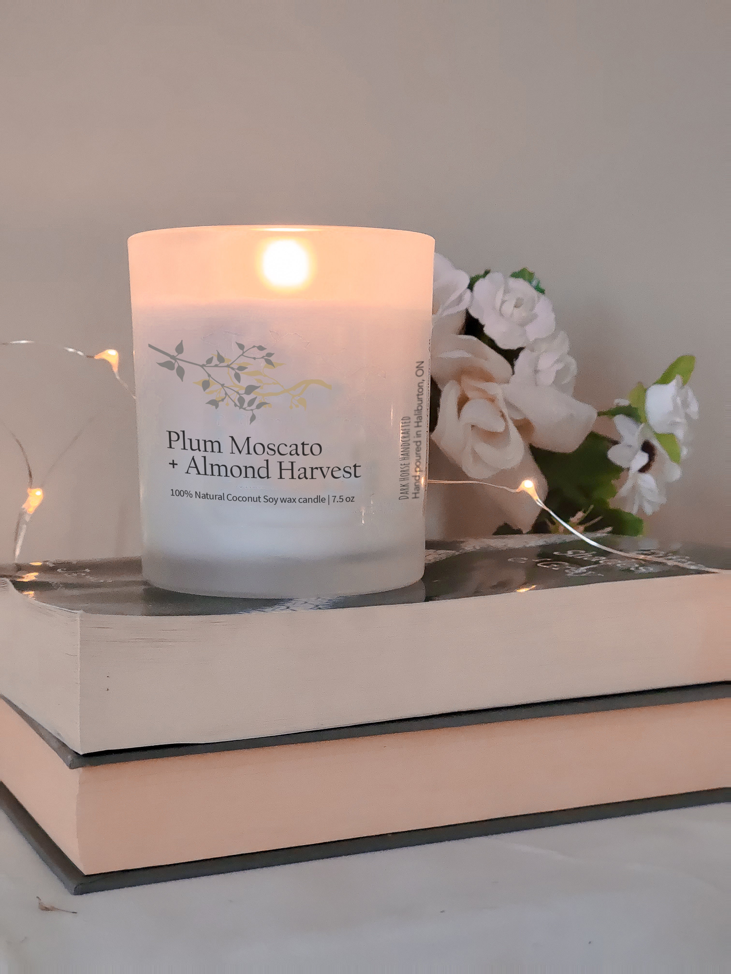 Plum Moscato & Almond Harvest - Scented Premium Coconut Soy Candle