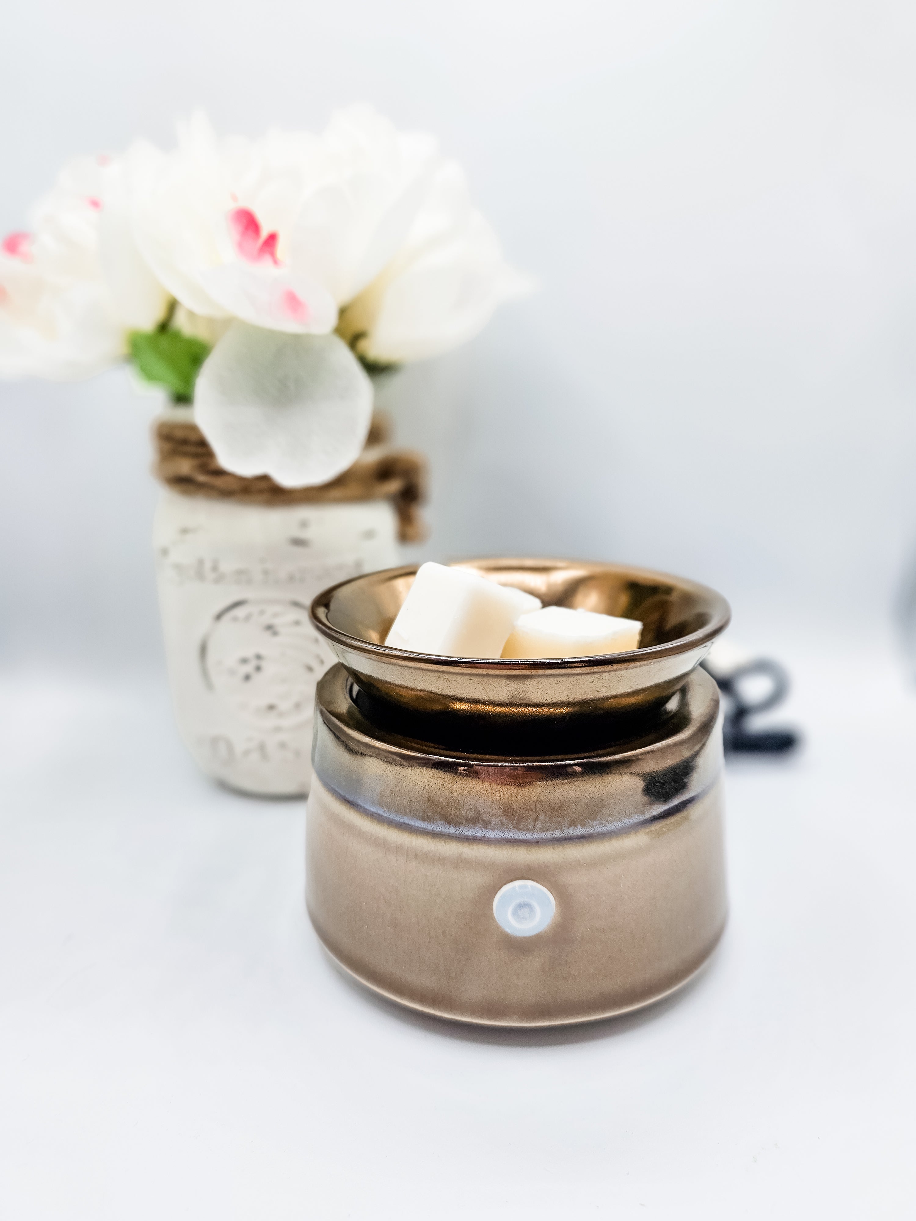Electric 3 in 1 Wax Melter