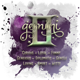 Gemini - Personalized Drinkware