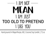 I am not Mean, I'm just too old to pretend I like you - Naughty Candle