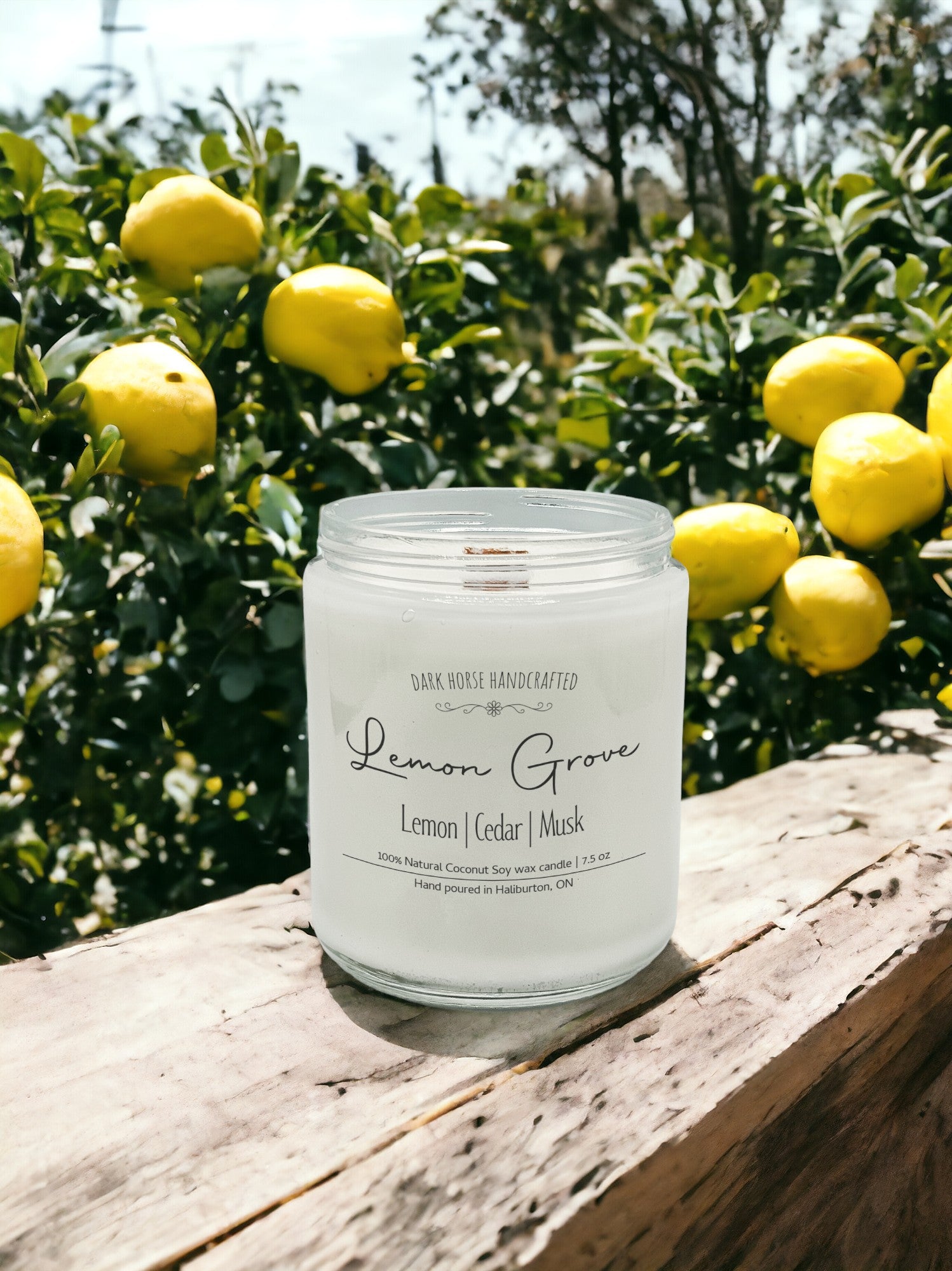 Lemon Grove - Scented Coconut Soy Candle