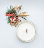 Hollyberry & Plum - Soy Candle