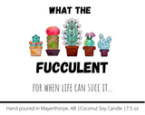 What the fucculent candle, for when life can succ it